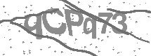 visual captcha